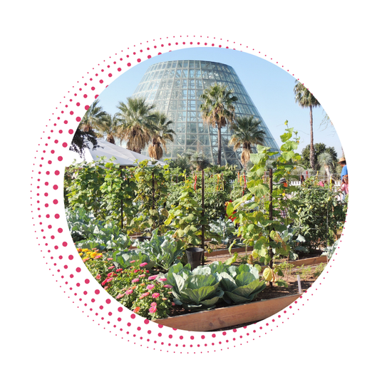 San Antonio Botanical Garden